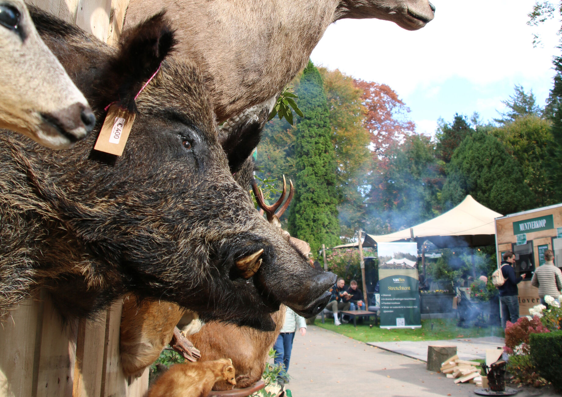 000 Wildfair 2025 de Lunterse Boer
