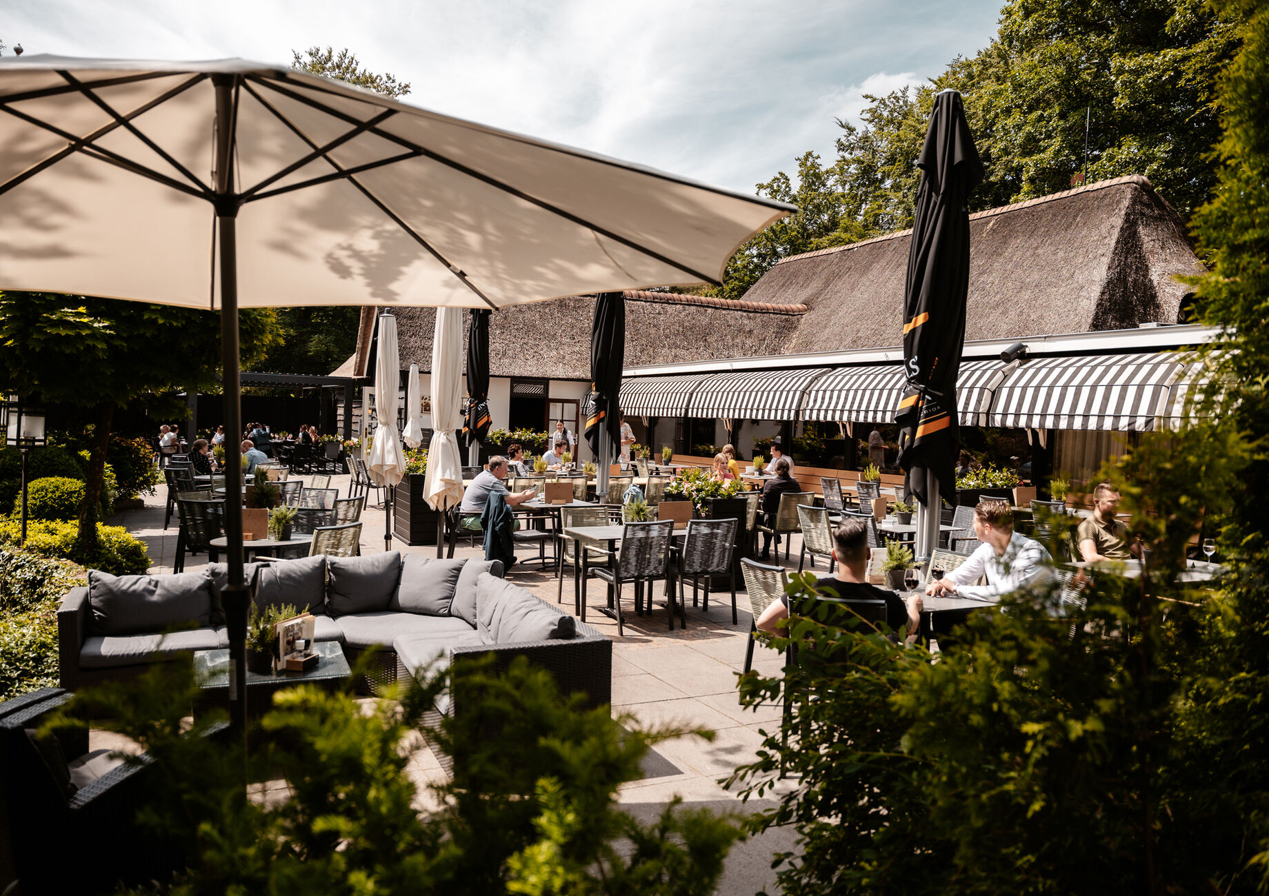 Terras