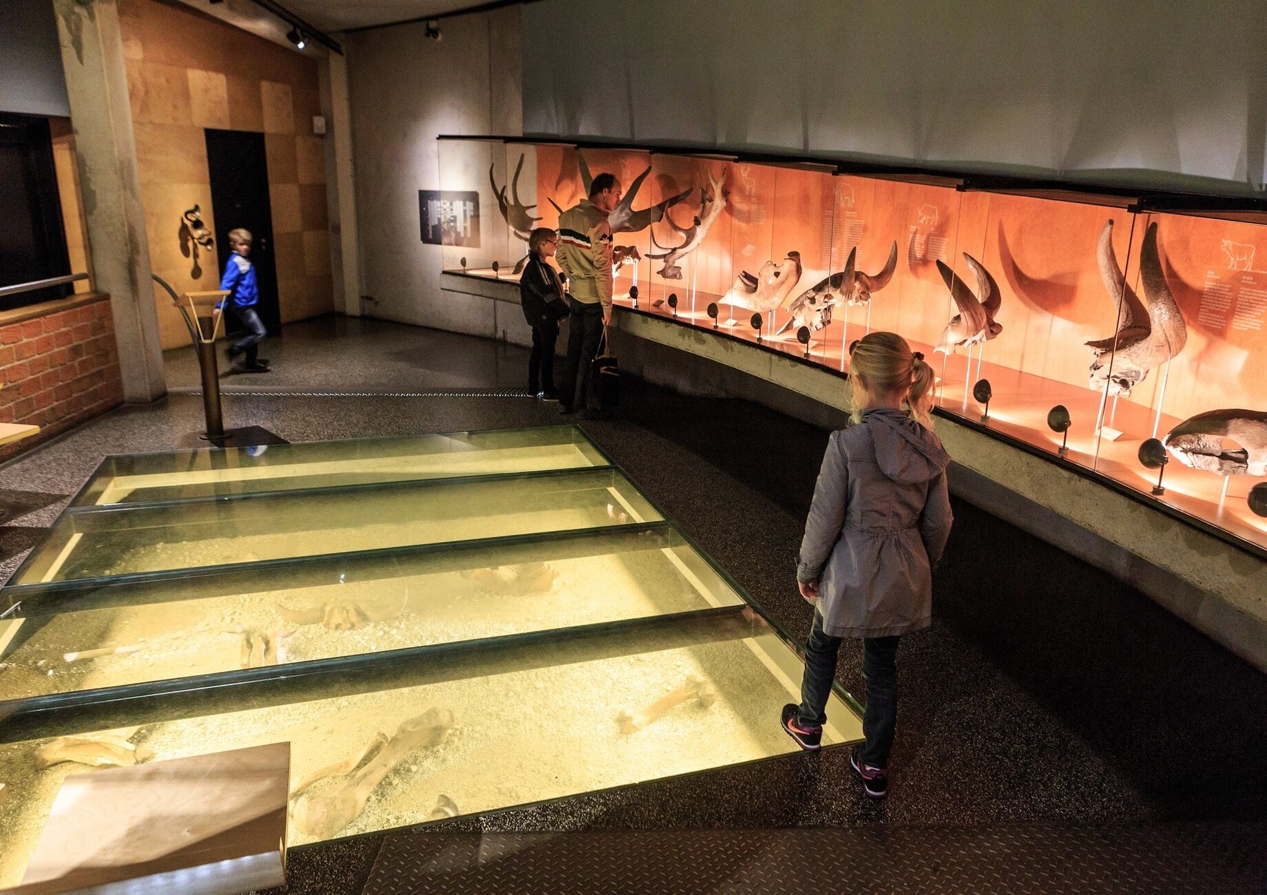 Museonder