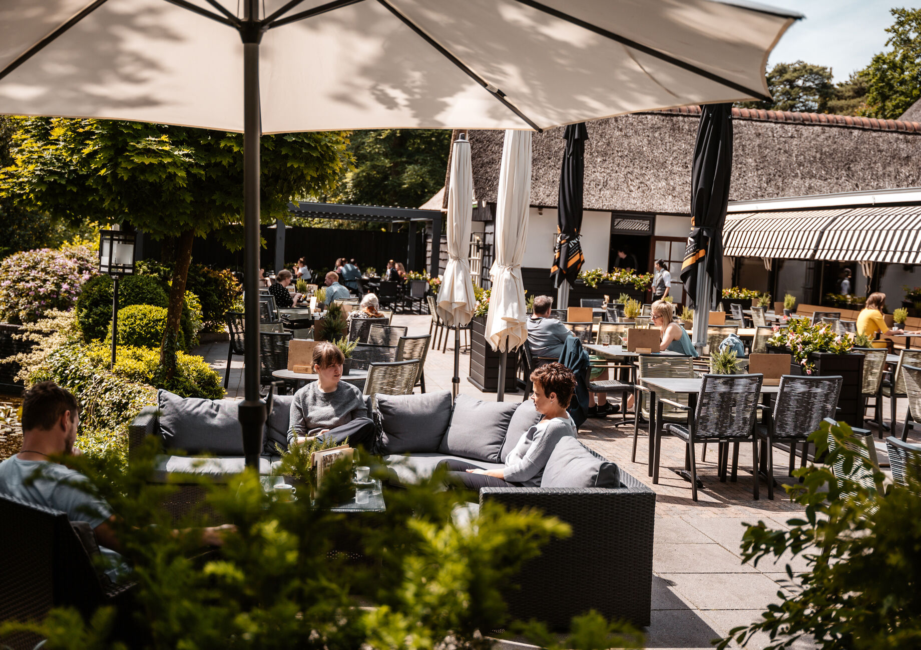 Terras