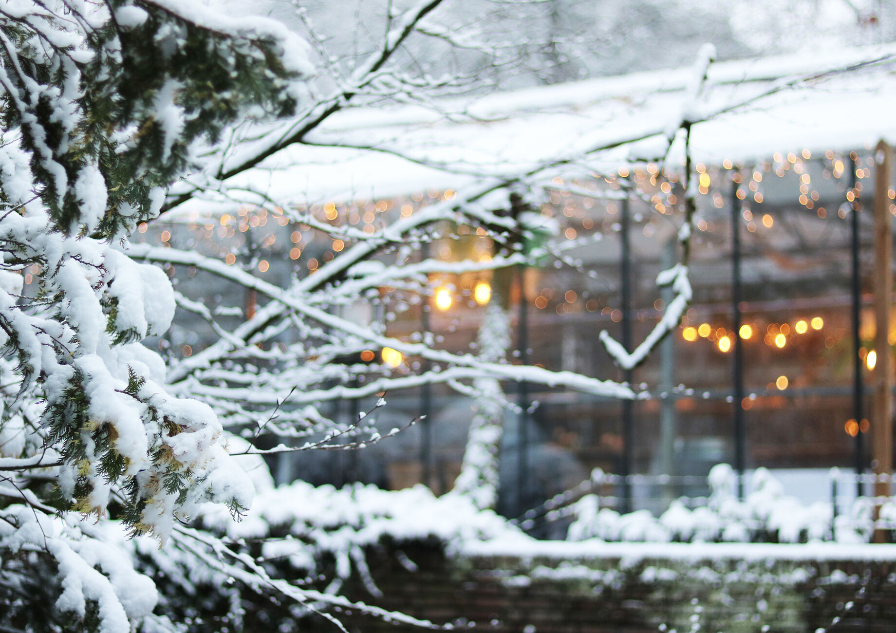 Winterterras
