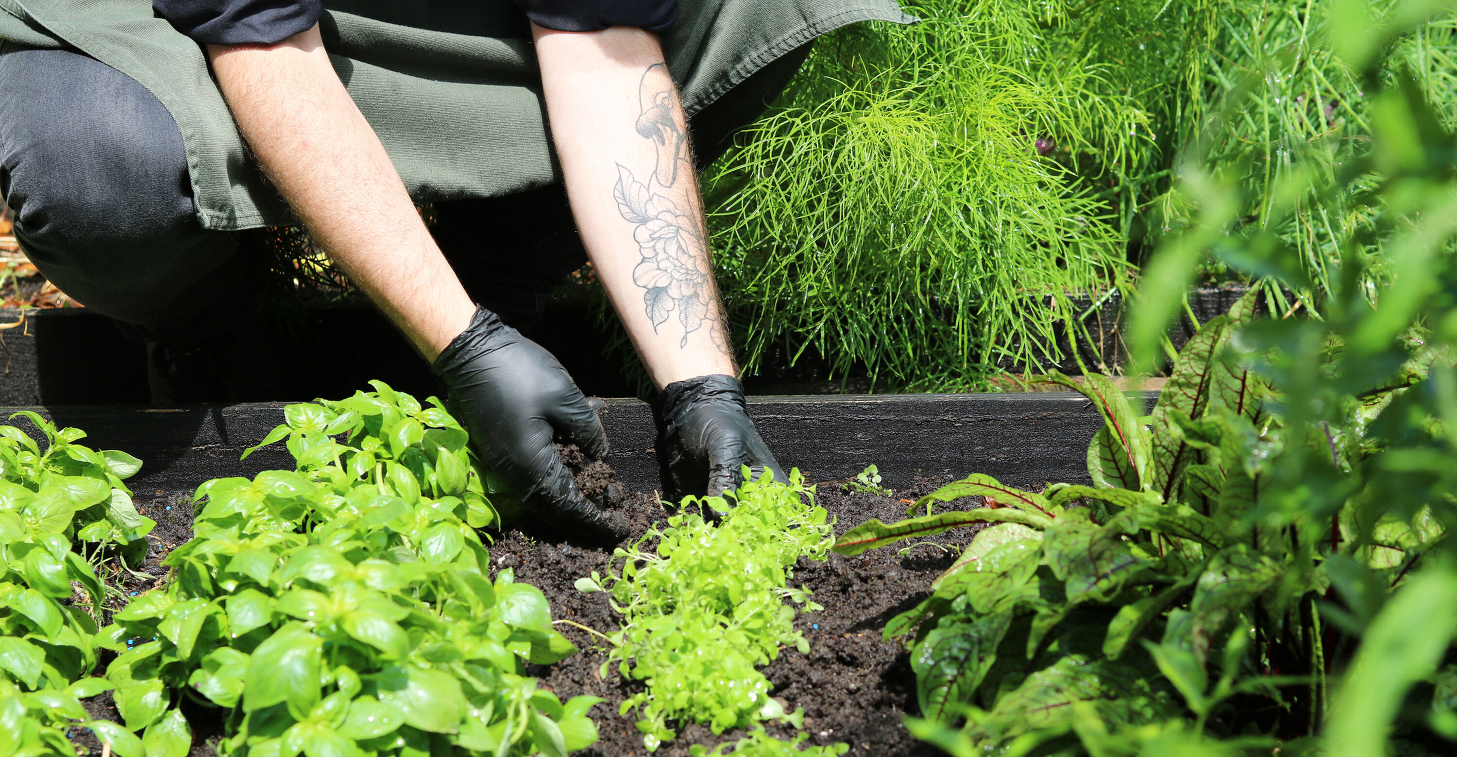 moestuin