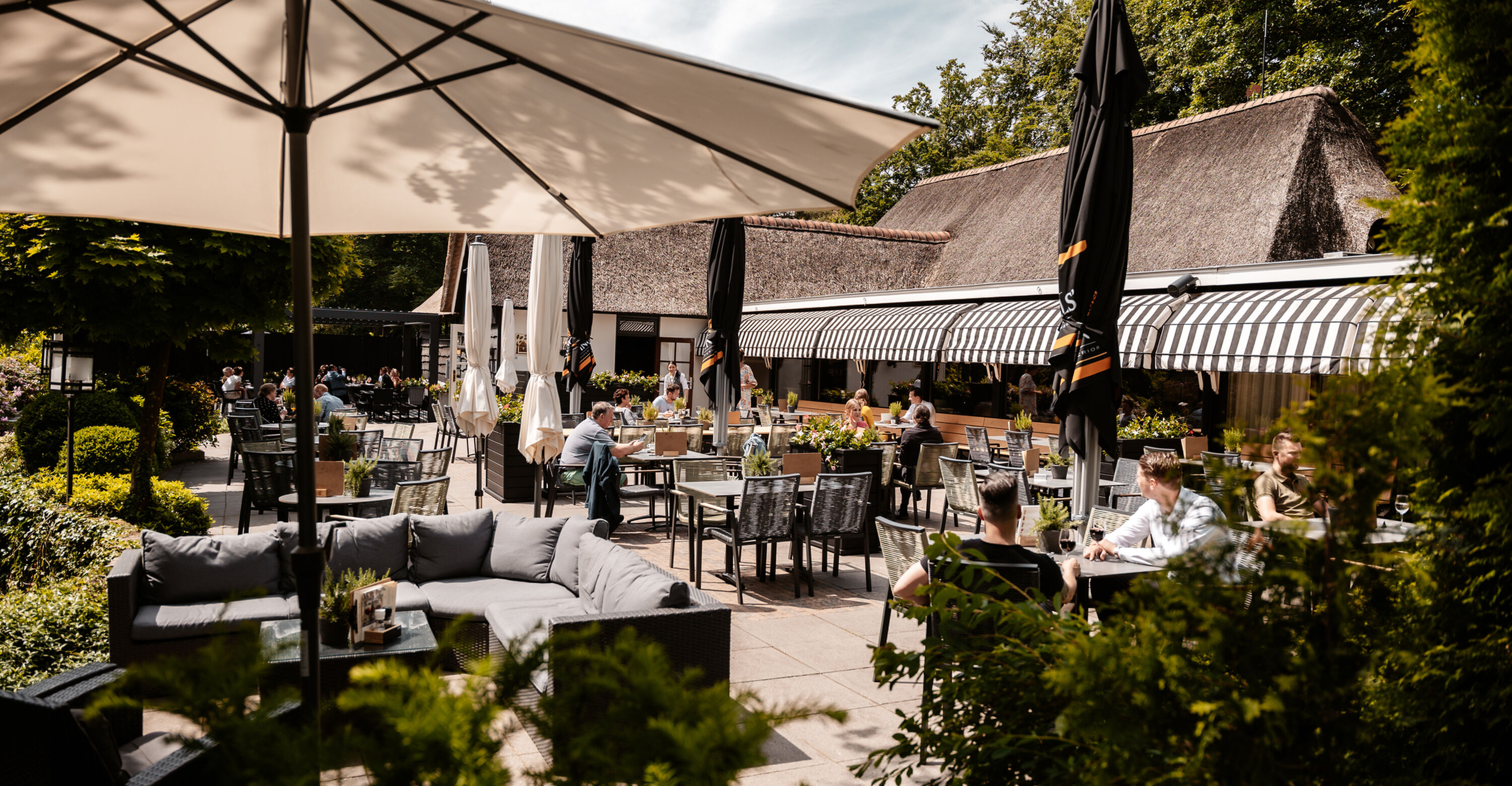 Terras