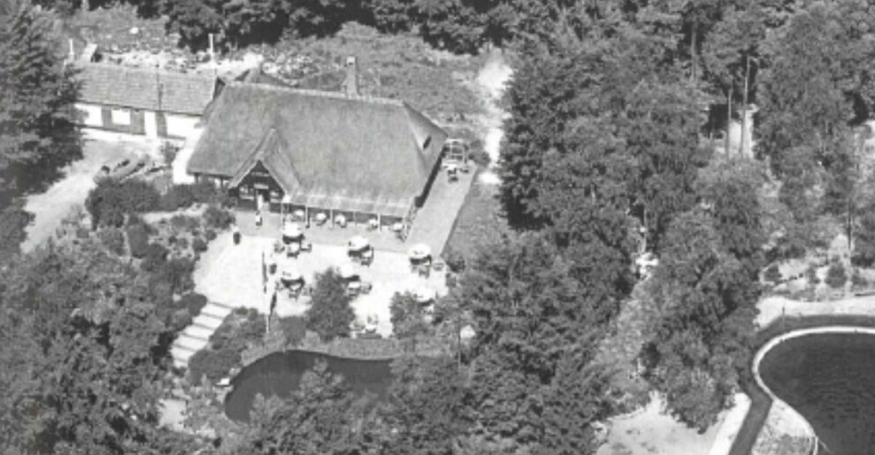 Drone geschiedenis