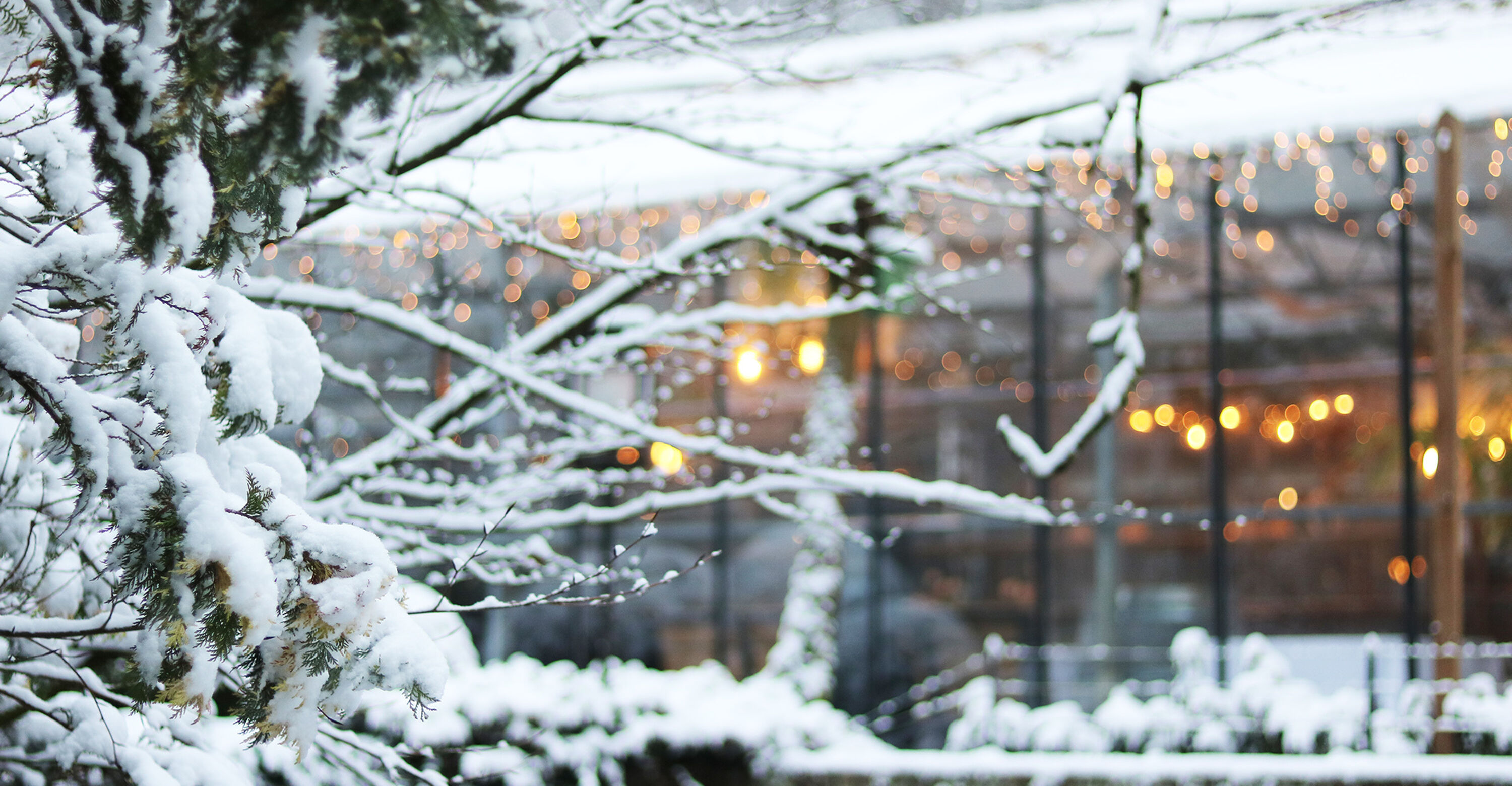 Winterterras