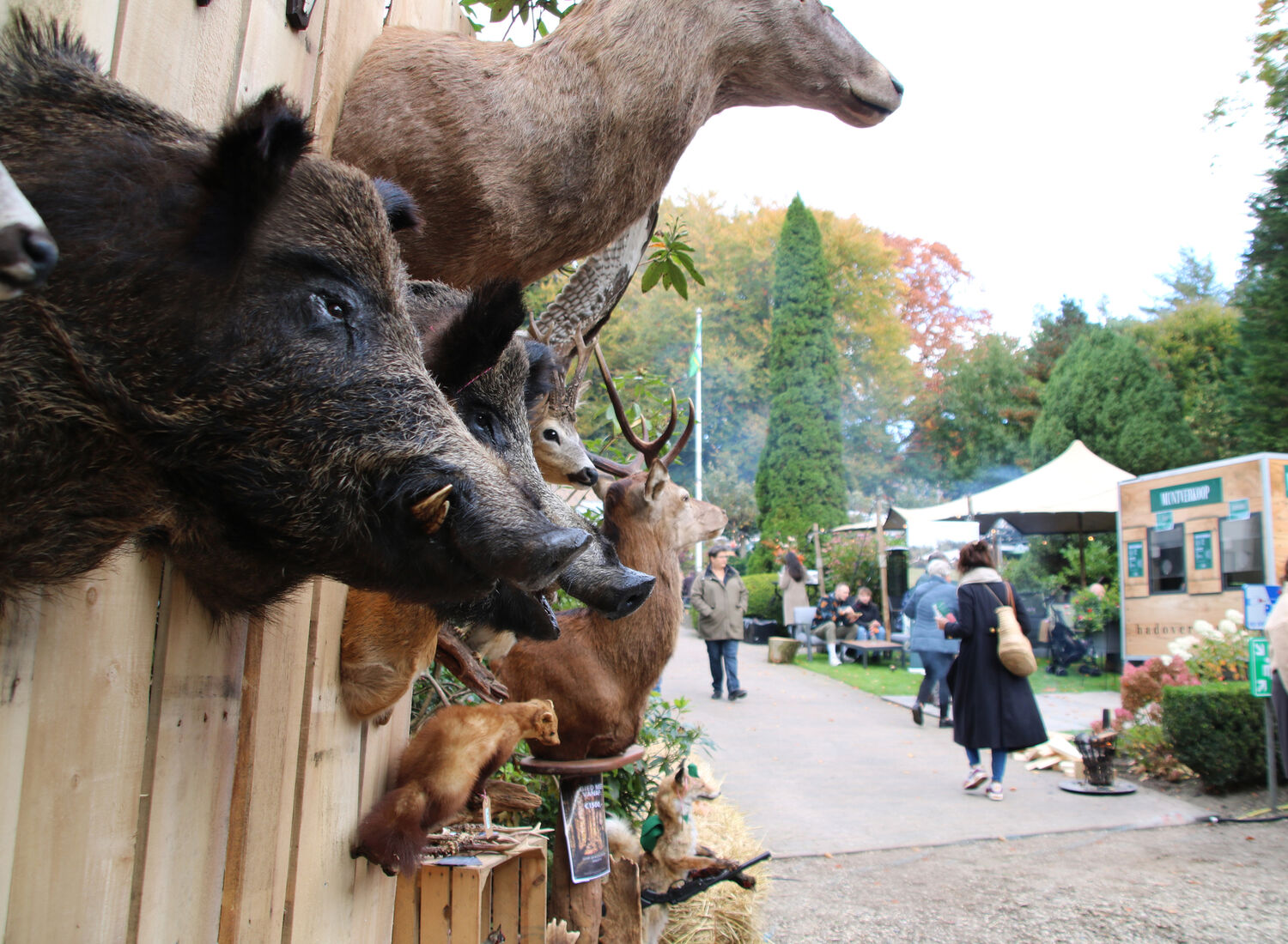 16 Wildfair 2025 de Lunterse Boer