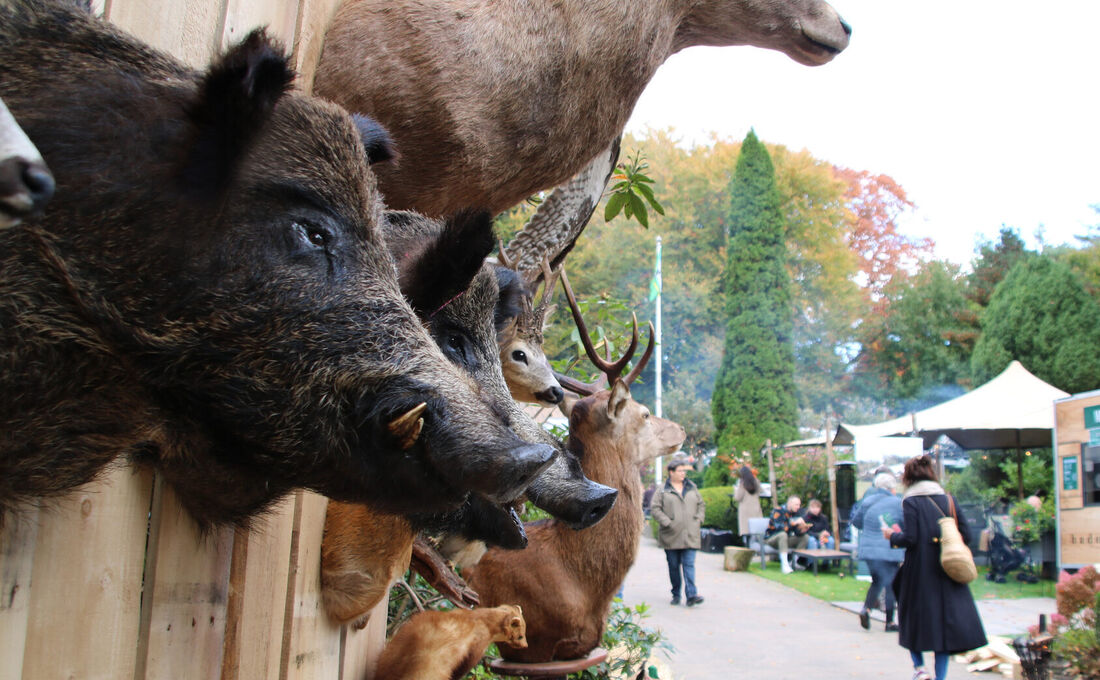 16 Wildfair 2025 de Lunterse Boer Laura van de Geer
